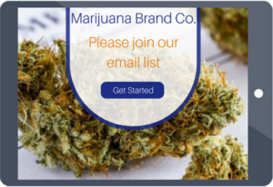 marijuana brands capture leads and collect email with an iPad