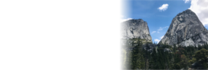 California resort used the OnSpot Social App for customer surveys